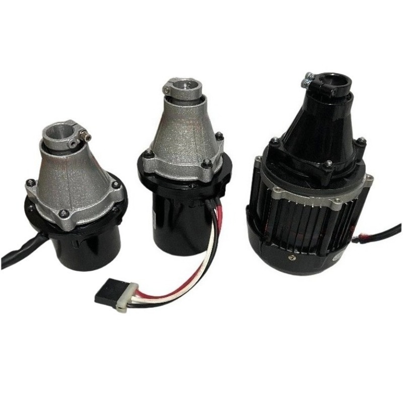 Fishing Boat Trolling Motor - محرك خارجي بدون فرشاة 12 فولت-60
